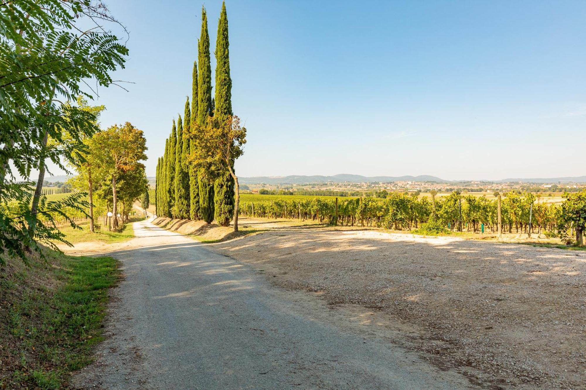 Vermentino Villa Montepulciano Stazione Eksteriør bilde