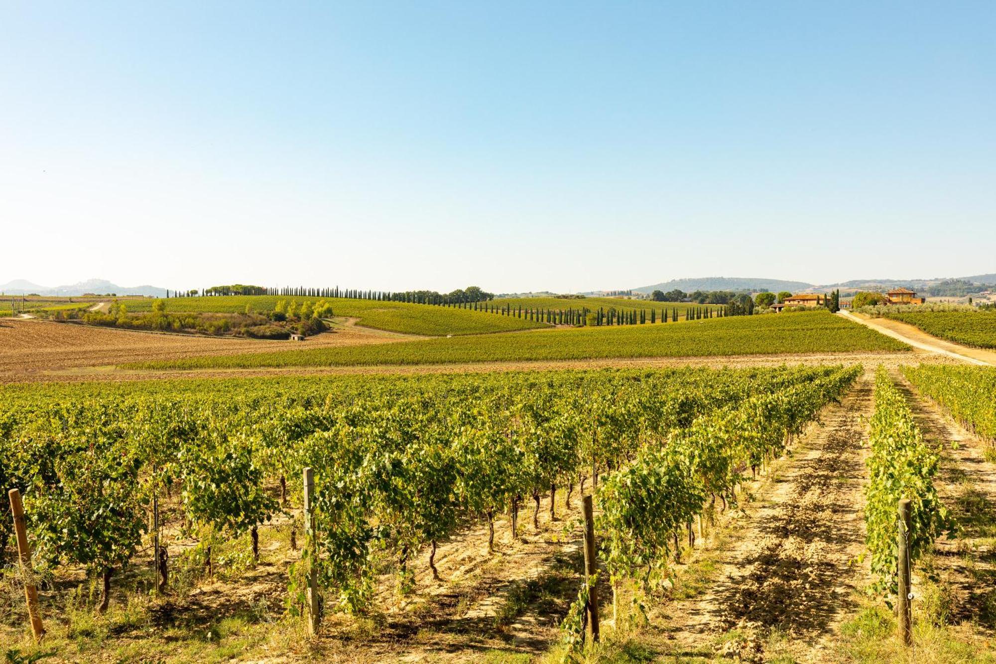 Vermentino Villa Montepulciano Stazione Eksteriør bilde