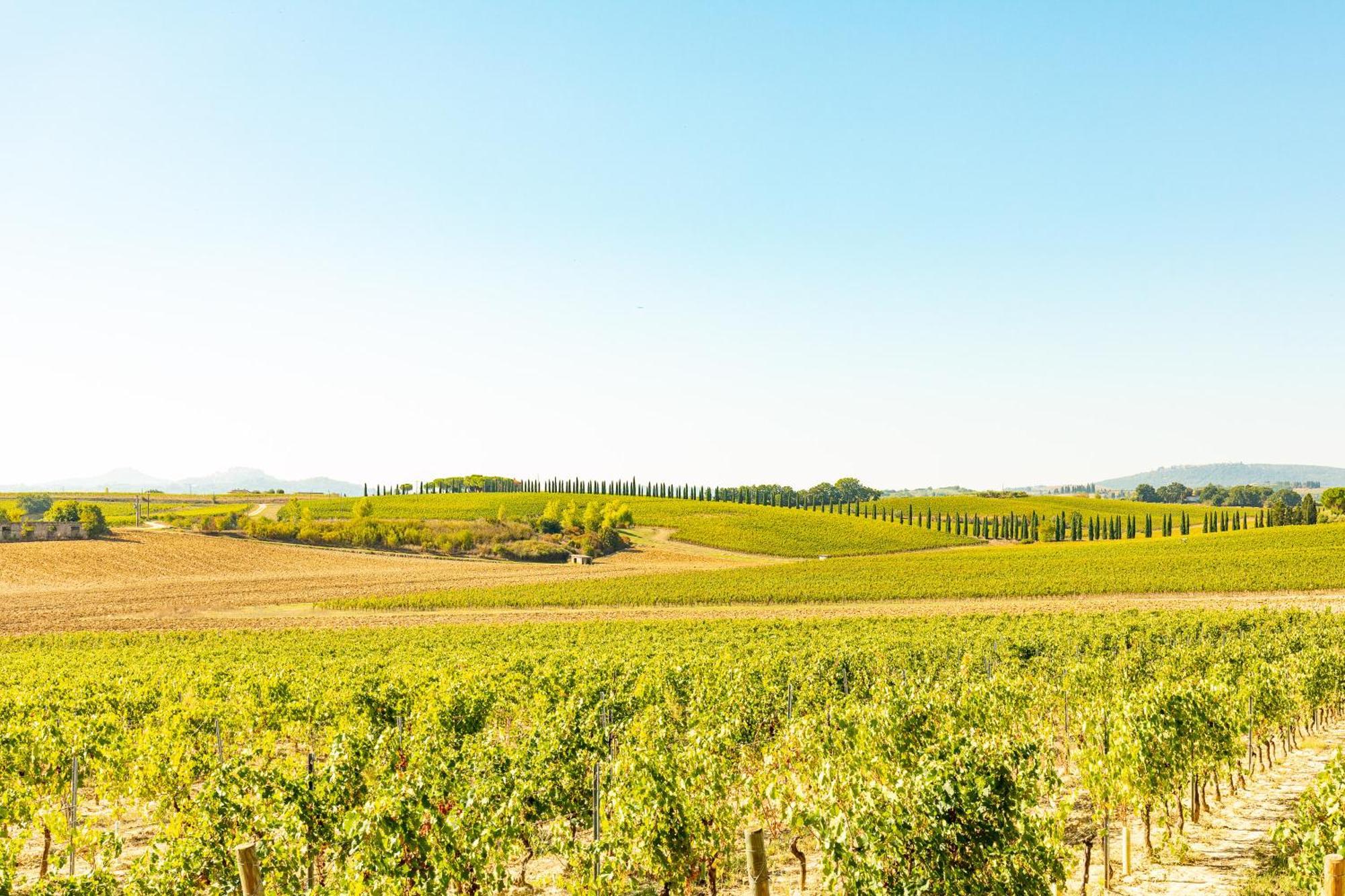 Vermentino Villa Montepulciano Stazione Eksteriør bilde